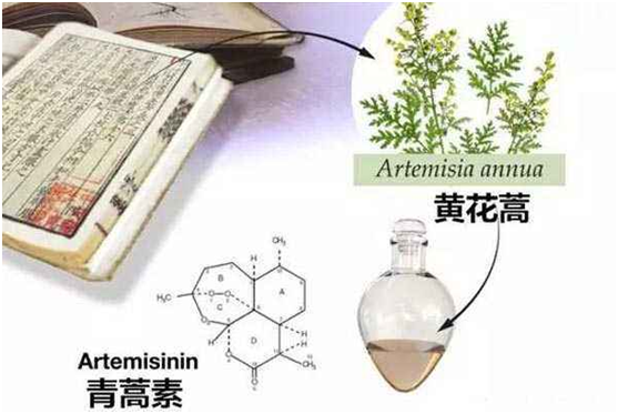 万象城手机官网（上海）有限公司,：向中医药看齐，与世界共享中医药文化(图1)